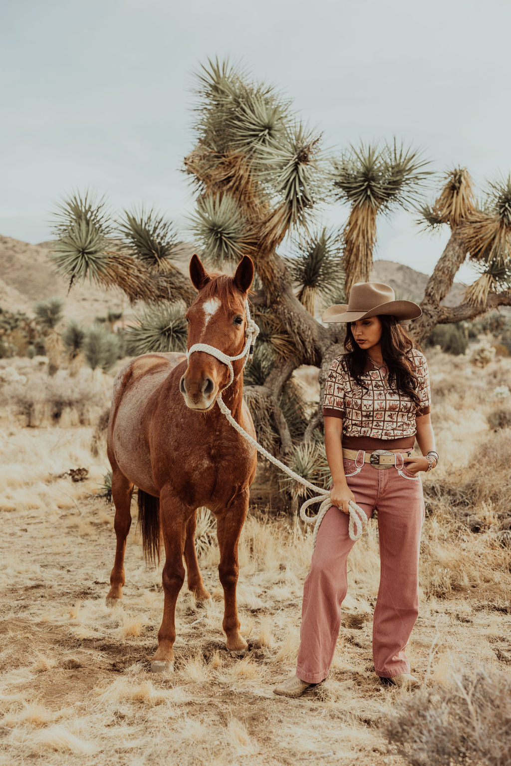 HH8800 ROSE ARROW DENIM