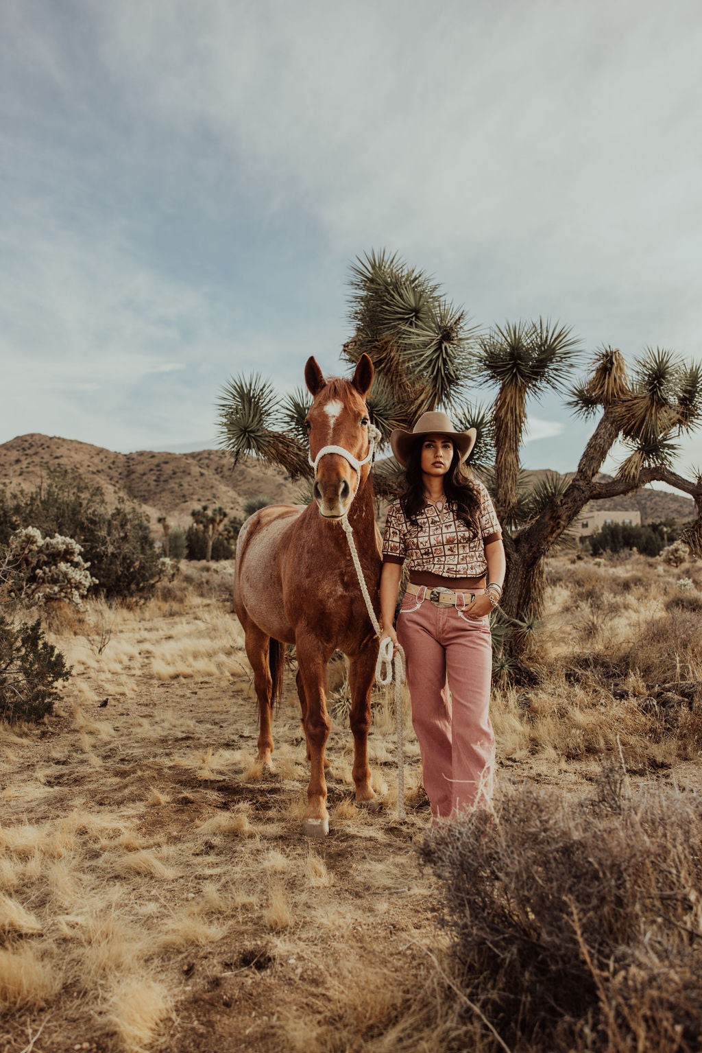 HH8800 ROSE ARROW DENIM