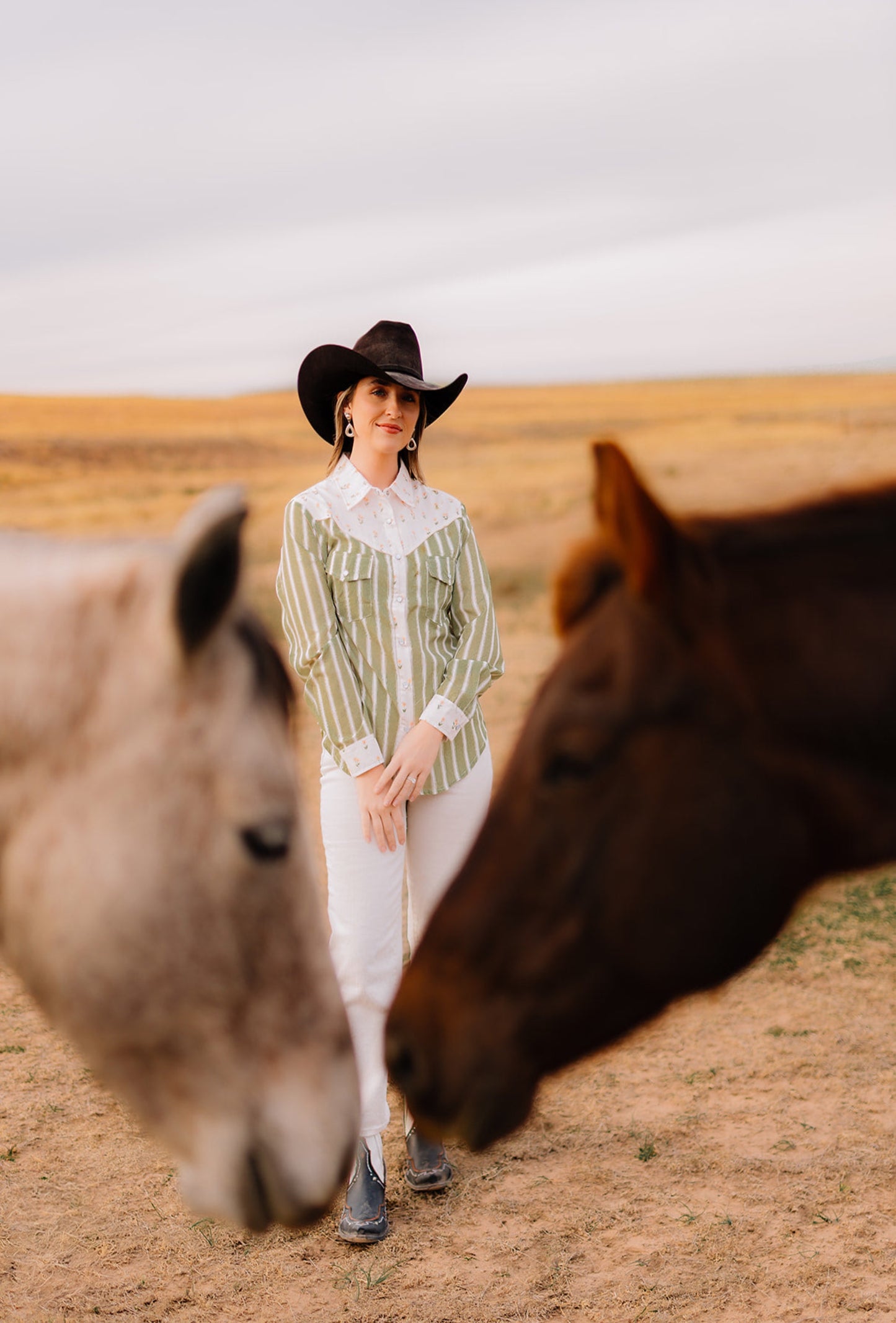 Pearl Snap, Olive Stripe HH2709 (Pack OF 7)