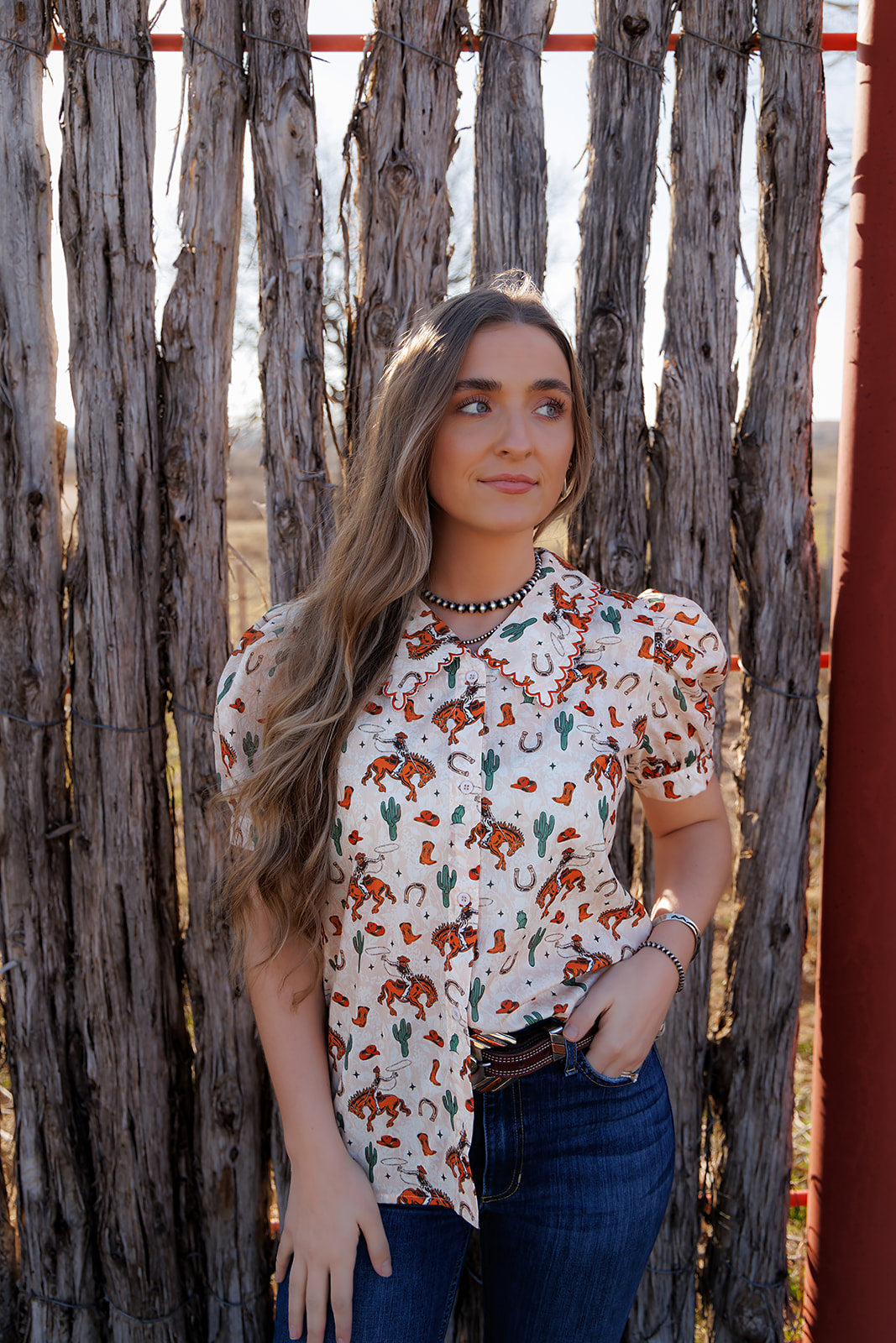 HH3024 BUCKING HORSE